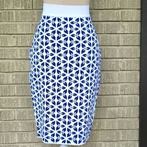 Brixton Ivy Women's ‎ Blue and White Pencil Skirt  Size:Medium